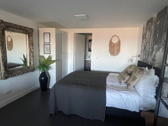B&B Zeespiegel Zandvoort Exteriör bild