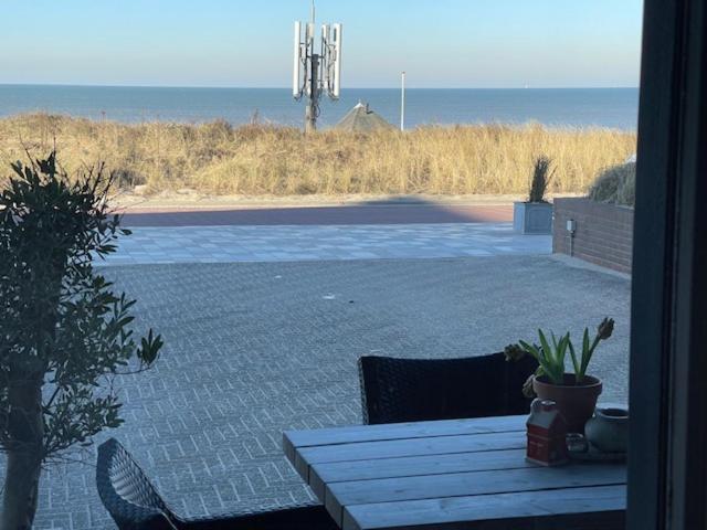 B&B Zeespiegel Zandvoort Exteriör bild