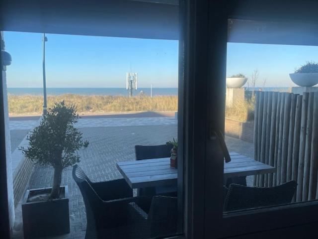 B&B Zeespiegel Zandvoort Exteriör bild