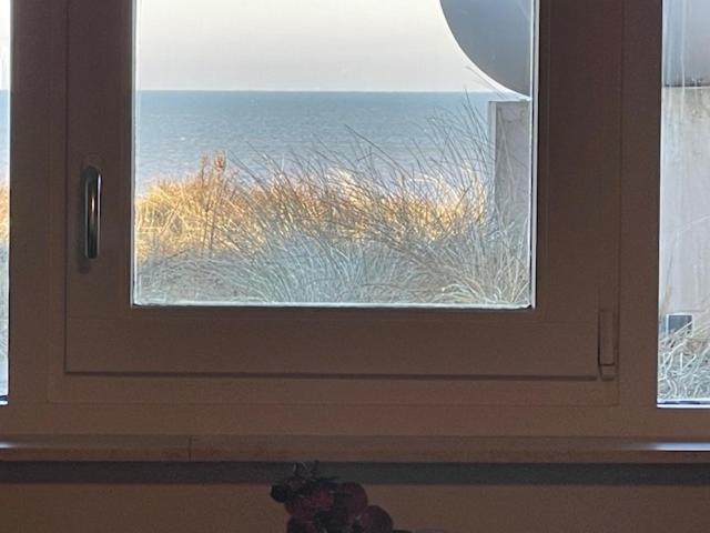 B&B Zeespiegel Zandvoort Exteriör bild