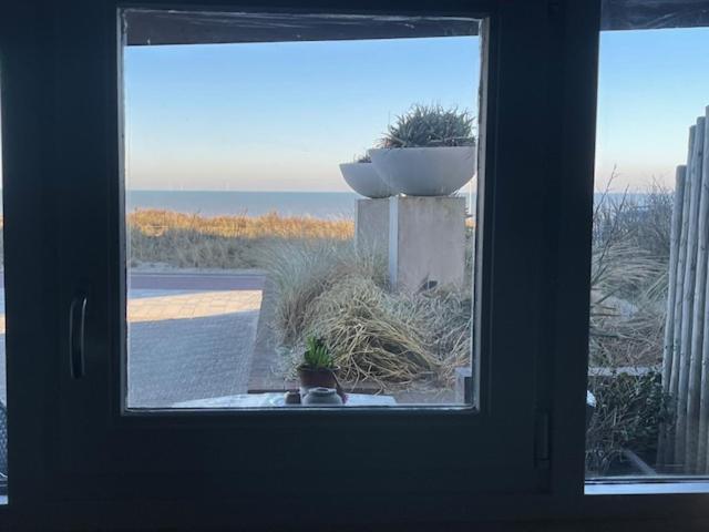 B&B Zeespiegel Zandvoort Exteriör bild