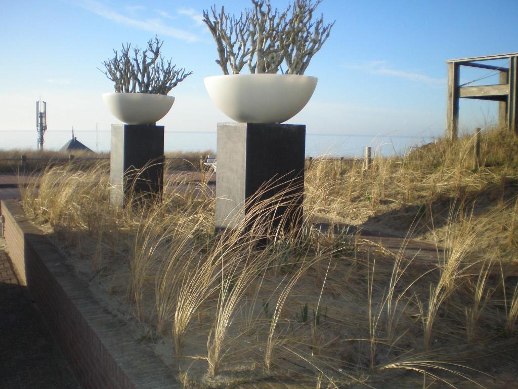 B&B Zeespiegel Zandvoort Rum bild