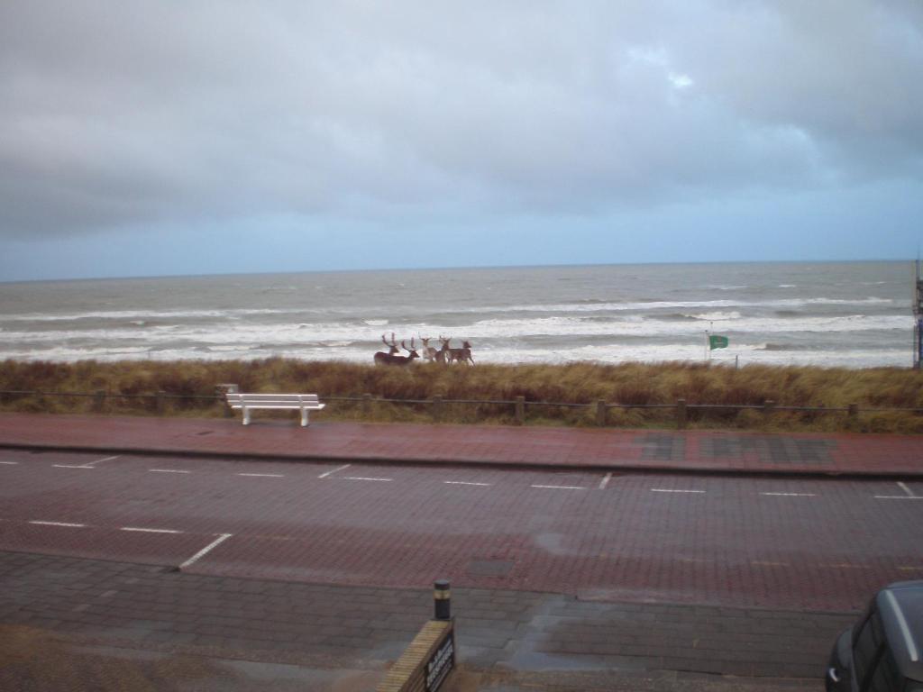 B&B Zeespiegel Zandvoort Rum bild